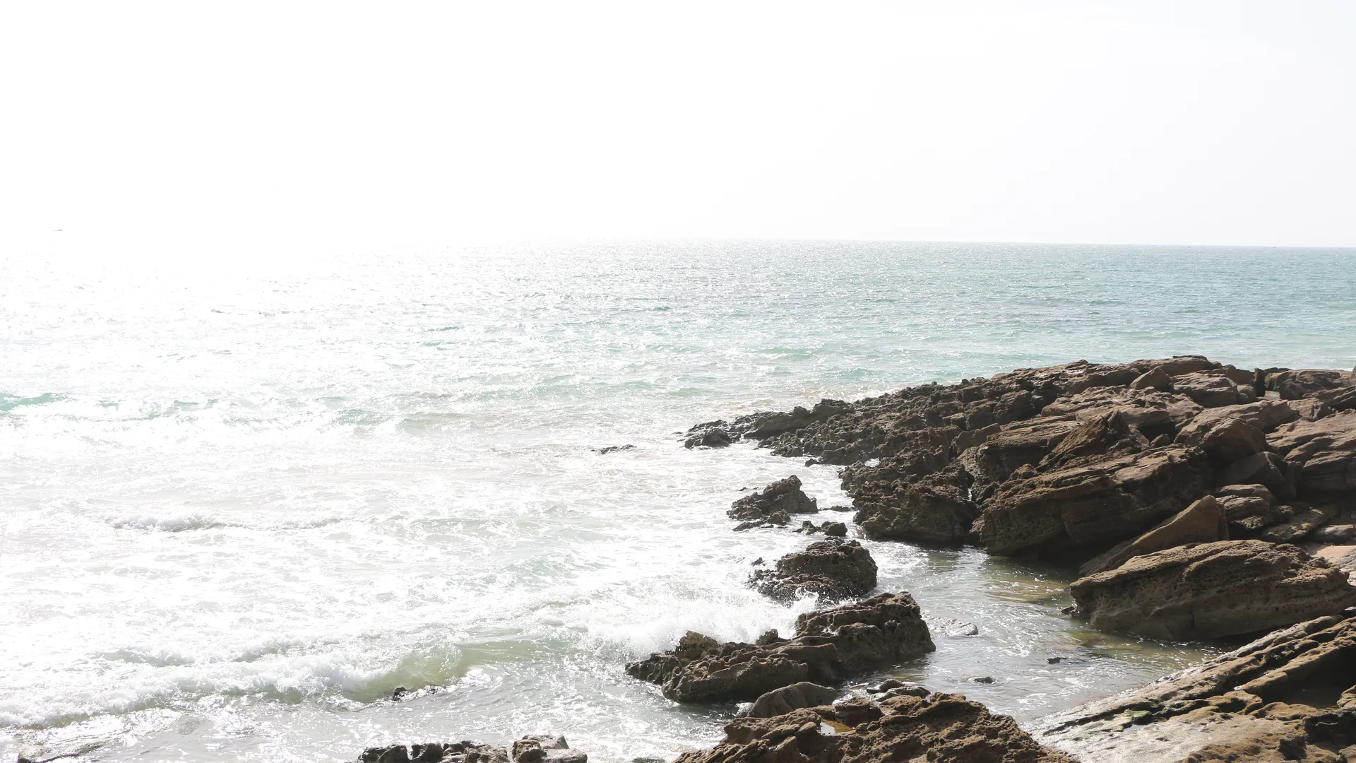 Côte rocheuse de Taghazout sous l'écume — pointe basaltique qui forme l'épine dorsale d'Anchor Point