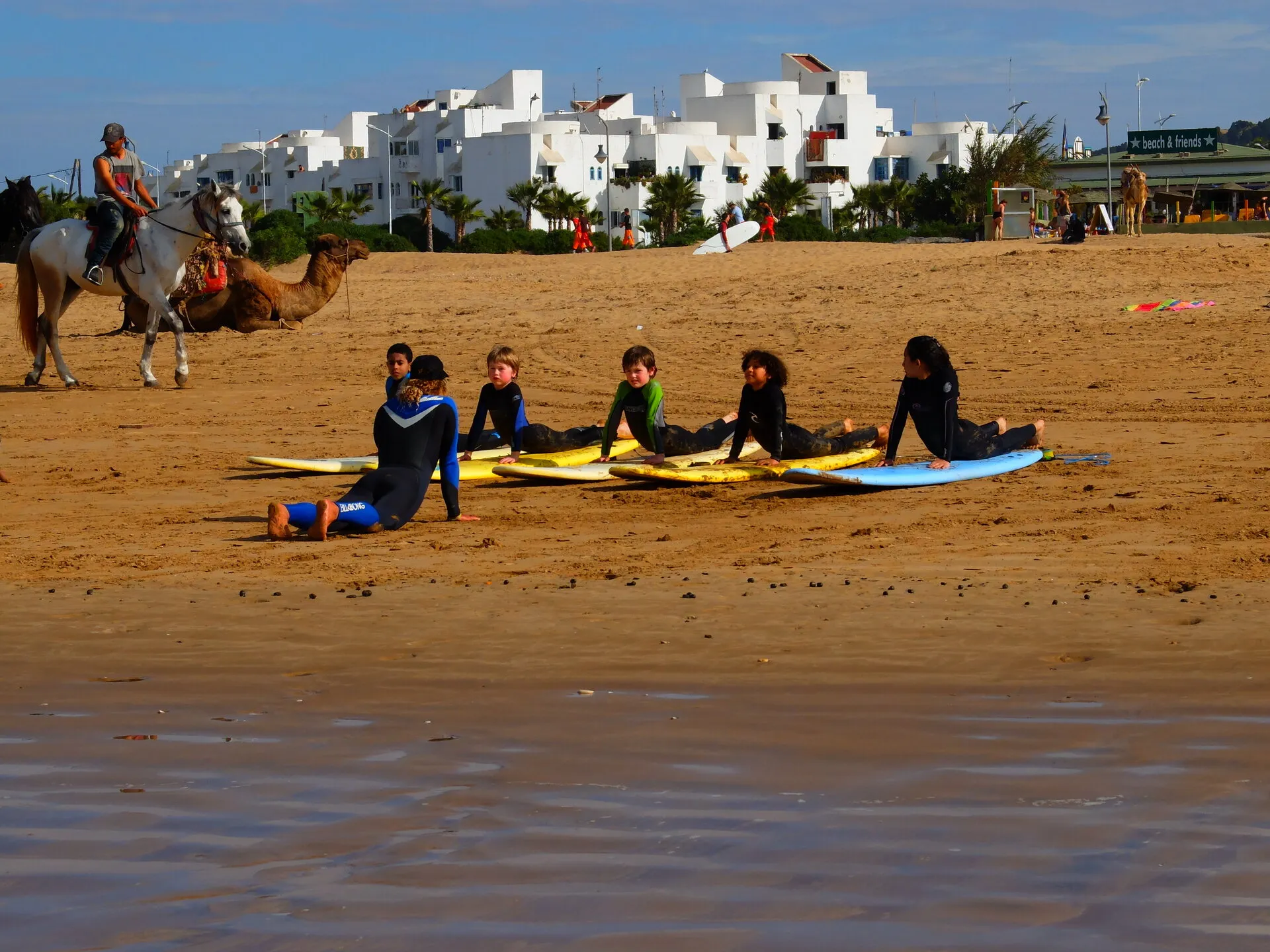 Planches de surf alignées sur le sable d'une plage atlantique marocaine — l'offre des écoles partenaires des hôtels Taghazout Bay
